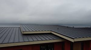 Roof Coating Services in Superior, CO